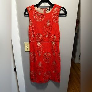 Gianni Bini Orange Lace Dress